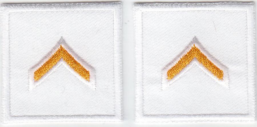 PFC Private DARK GOLD on WHITE rank insignia collar patches