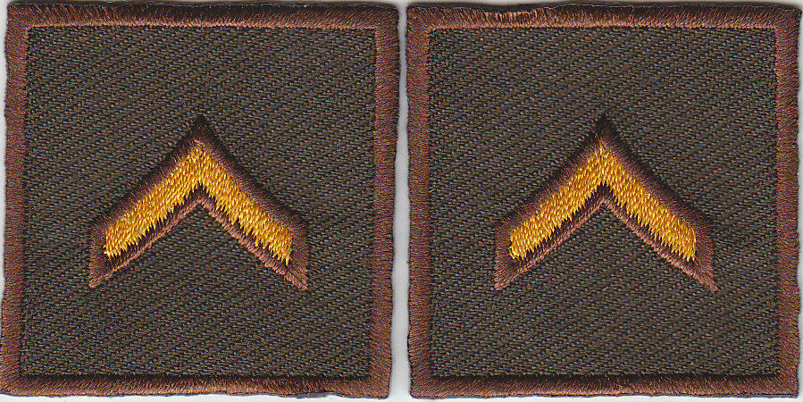 PFC Private DARK GOLD on BROWN collar patches