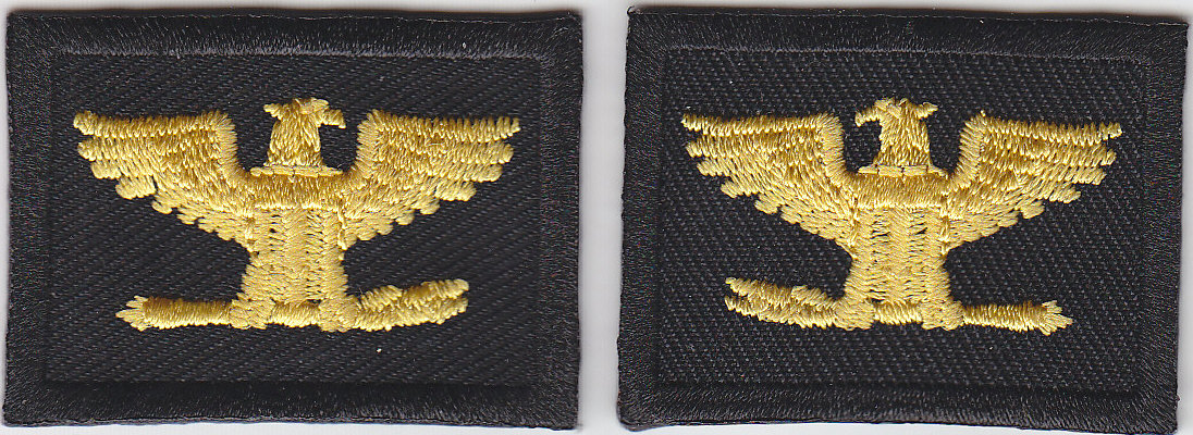 COL Colonel Eagles Birds MEDIUM GOLD on BLACK collar patches 1.75" LARGE