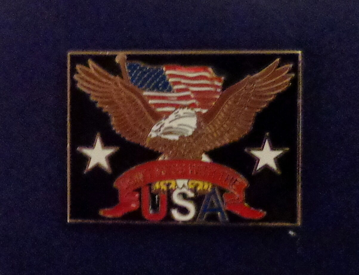 Don't Mess With The USA Lapel Pin Bald Eagle Flag 2 Stars