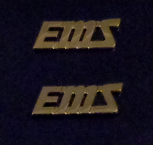 EMS gold SCRIPT 1/2" Letters Collar Pins