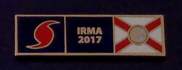 HURRICANE IRMA 2017 Florida GOLD Uniform pin