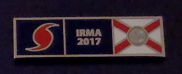 HURRICANE IRMA 2017 Florida SILVER Uniform Award/Commendation Bar pin FL