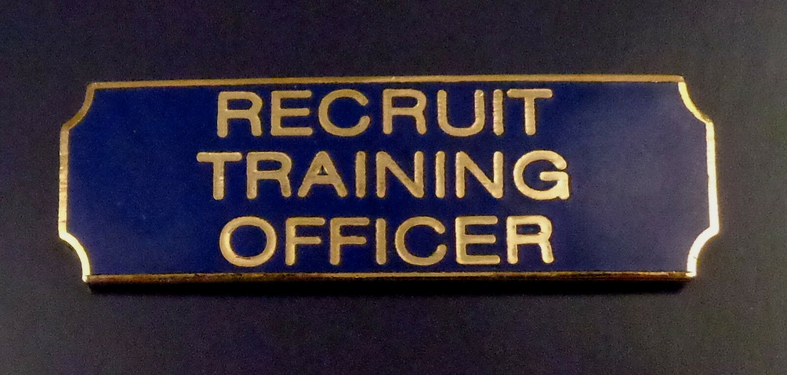 RECRUIT TRAINING OFFICER  Gold on Blue Award Bar