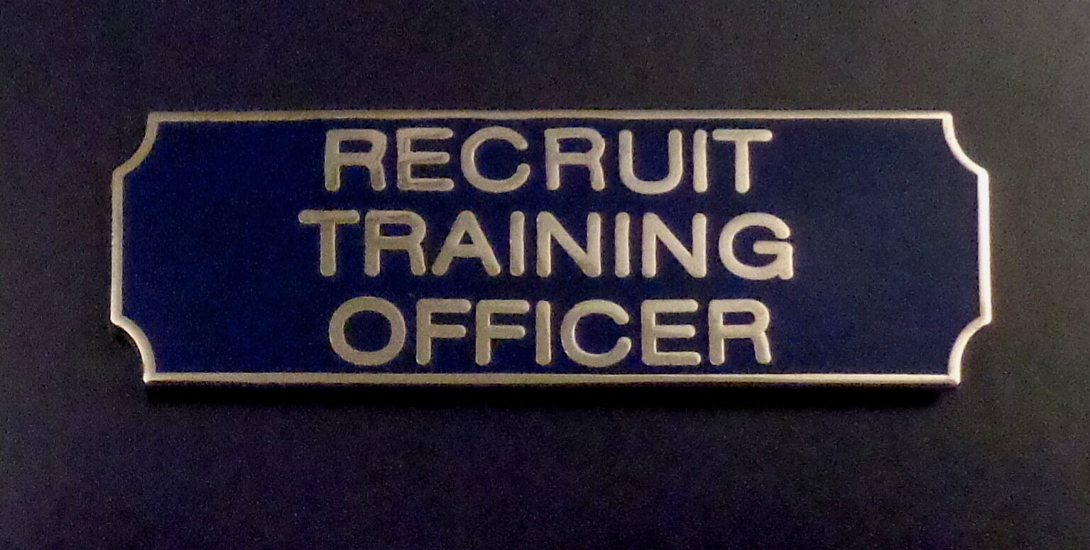 RECRUIT TRAINING OFFICER Silver on Blue Award Bar