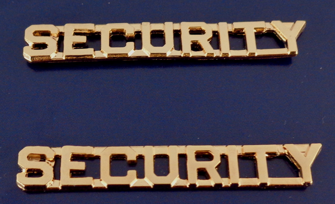 Security 1/4" Polished Gold Collar Pins