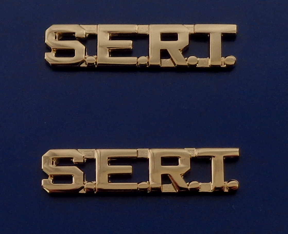 SERT Gold 5/16" Lettering/Letters Pair Collar Pins
