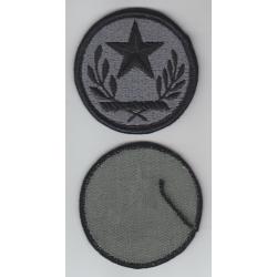 Texas National Guard ACU patch with hook fastener backing