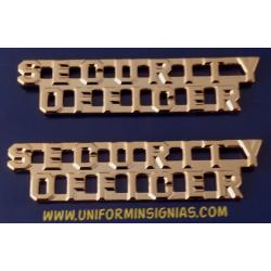 SECURITY OFFICER 1/4" Gold Collar Pins