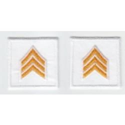 SGT Sergeant Chevron DARK GOLD on WHITE collar patches SOLID STYLE