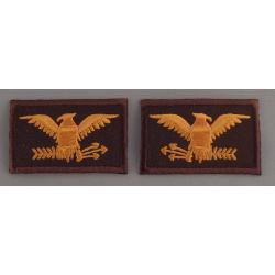 COL Colonel Eagles Birds DARK GOLD on BROWN collar patches 1.75" Large