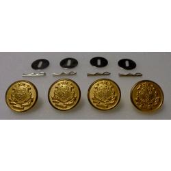 Connecticut STATE SEAL Gold Uniform Buttons LARGE