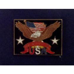 Don't Mess With The USA Lapel Pin Bald Eagle Flag 2 Stars