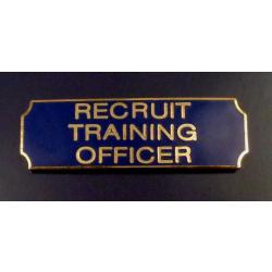 RECRUIT TRAINING OFFICER  Gold on Blue Award Bar