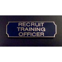 RECRUIT TRAINING OFFICER Silver on Blue Award Bar