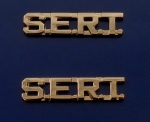 SERT Gold 5/16" Lettering/Letters Pair Collar Pins