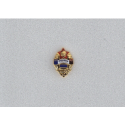 Policia Urbana Tijuana BC mini badge lapel pin police Mexico