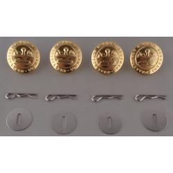 Tennessee Gold Uniform Buttons LARGE Jacket Size TN