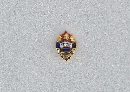 Policia Urbana Tijuana BC mini badge lapel pin police Mexico